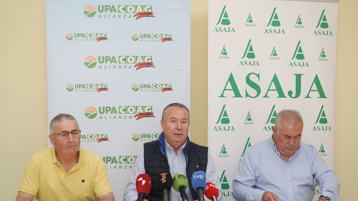 Asaja y la alianza exigen al gobierno control en las importaciones de cereal de ucrania