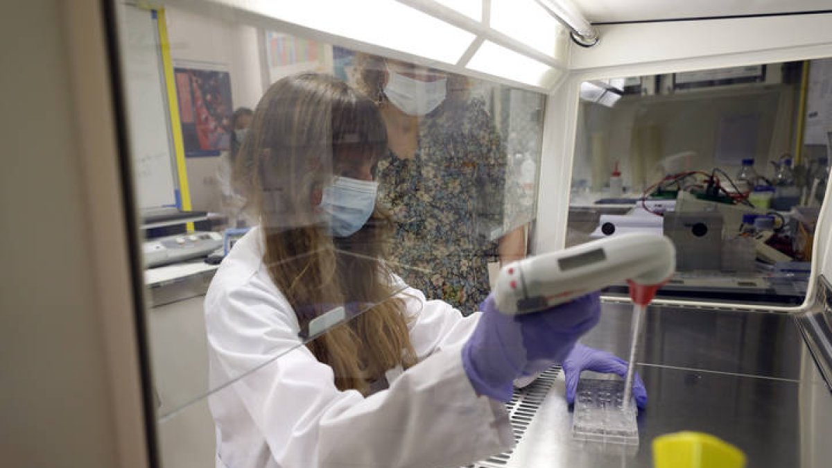 Trabajos de investigación en la ULE