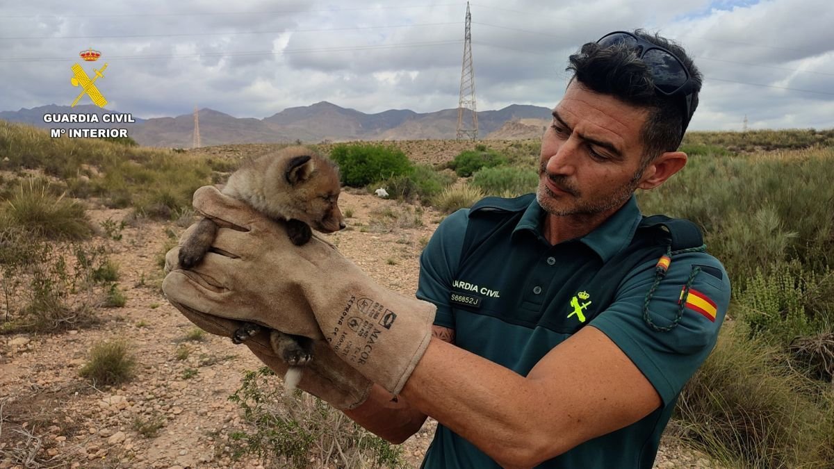 Un agente del Servicio de Protección de la Naturaleza (Seprona) de la Guardia Civil.