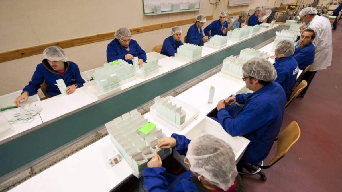 Trabajadores en un centro especial de empleo