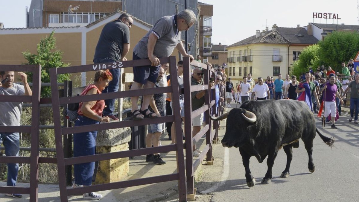 El Tentenecio, por las calles de Sahagún.
