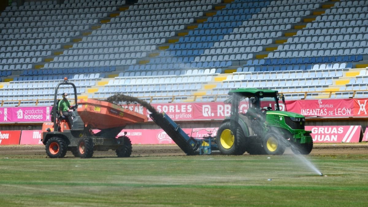 Las obras de la retirada del césped del Reino de León ya han comenzado.
