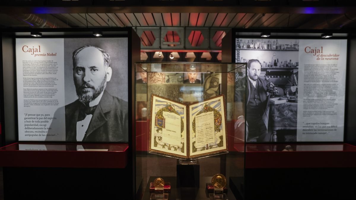El Museo Nacional de Ciencias Naturales de Madrid, hogar temporal del legado de Santiago Ramón y Cajal.