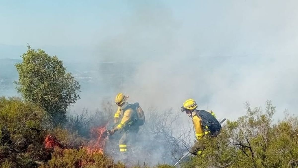 Trabajadores forestales en el incendio de Pardamaza.