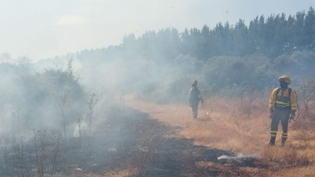 Brigadas forestales, en el incendio de Cabañas de la Dornilla.