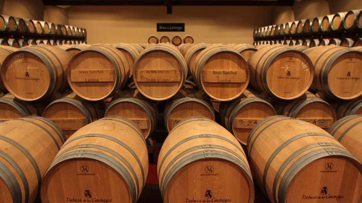 Castilla y León produjo el año pasado 104,7 millones de litros de vino de excelente calidad.