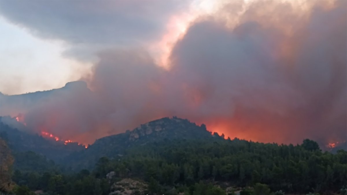 El incendio forestal de Paüls (Tarragona) afecta ya a unas 1.500 hectáreas de masa forestal hasta el momento, gran parte de ellas en el Parque Natural de Els Ports, según estimaciones del último balance de los Agentes Rurales. La parte más activa del incendio es la zona superior del flanco derecho, entre Paüls y Alfara de Carles. Su evolución es incierta a causa del comportamiento del viento, según informan Bomberos de la Generalitat, que piden no transitar por la zona bajo ningún concepto.