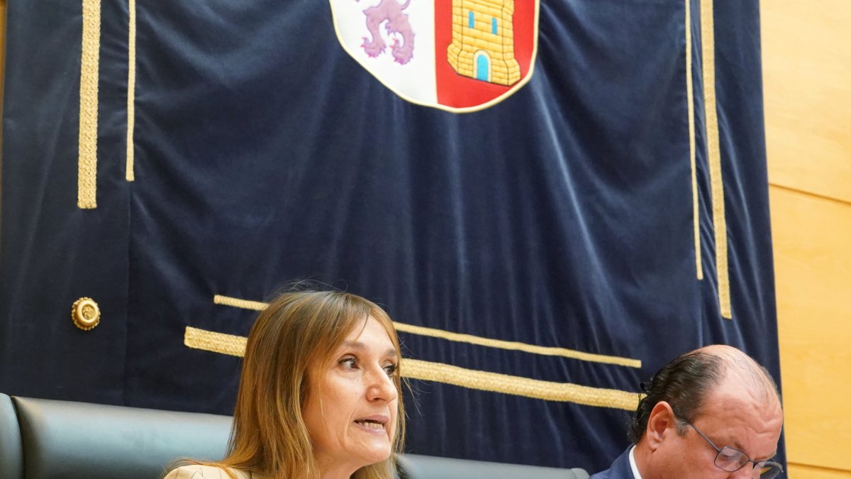 La consejera de Educación, Rocío Lucas, comparece en  las Cortes. 
