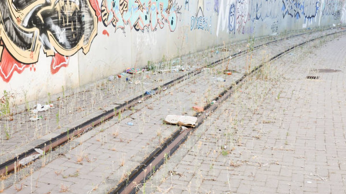 Entorno del Feve abandonado.