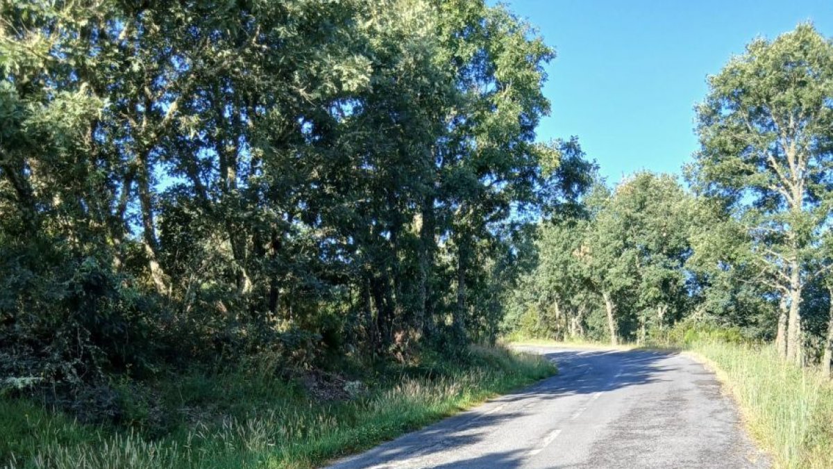 Estado de la LE-5402, de Vanidodes a Combarros.