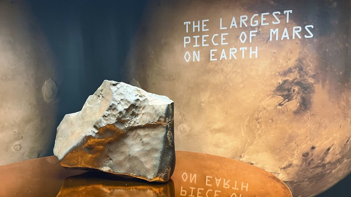 El meteorito más grande de Marte expuesto en Sotheby's desde el 8 de julio.
