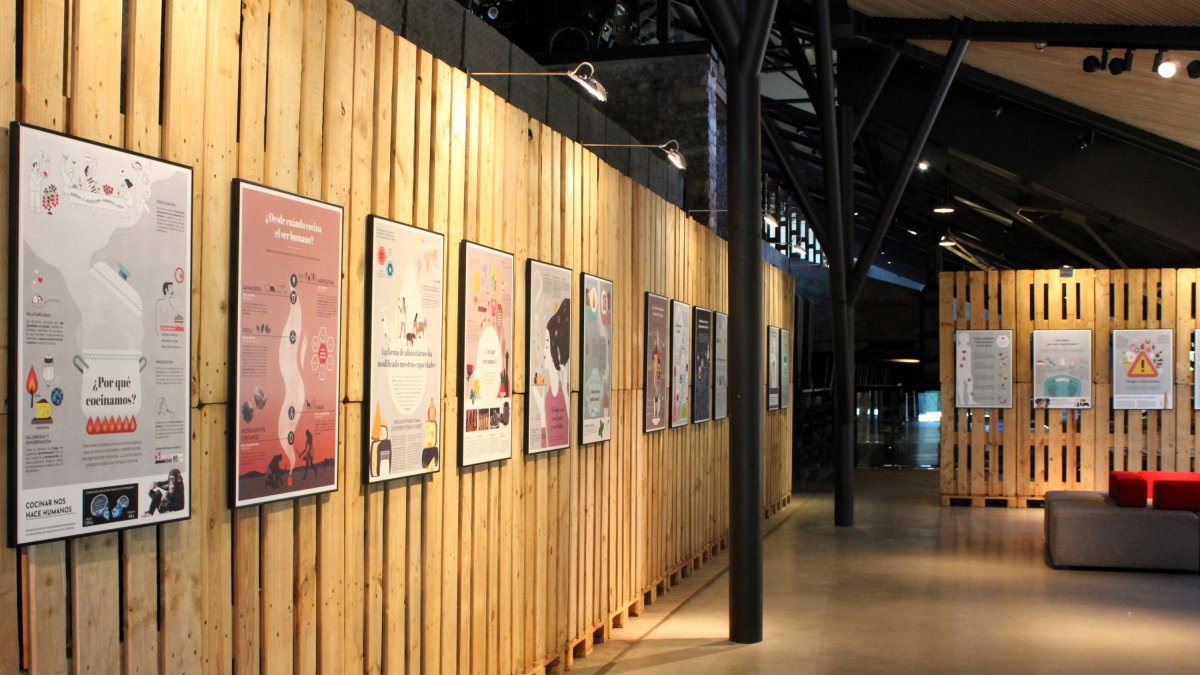 Carteles de la exposición