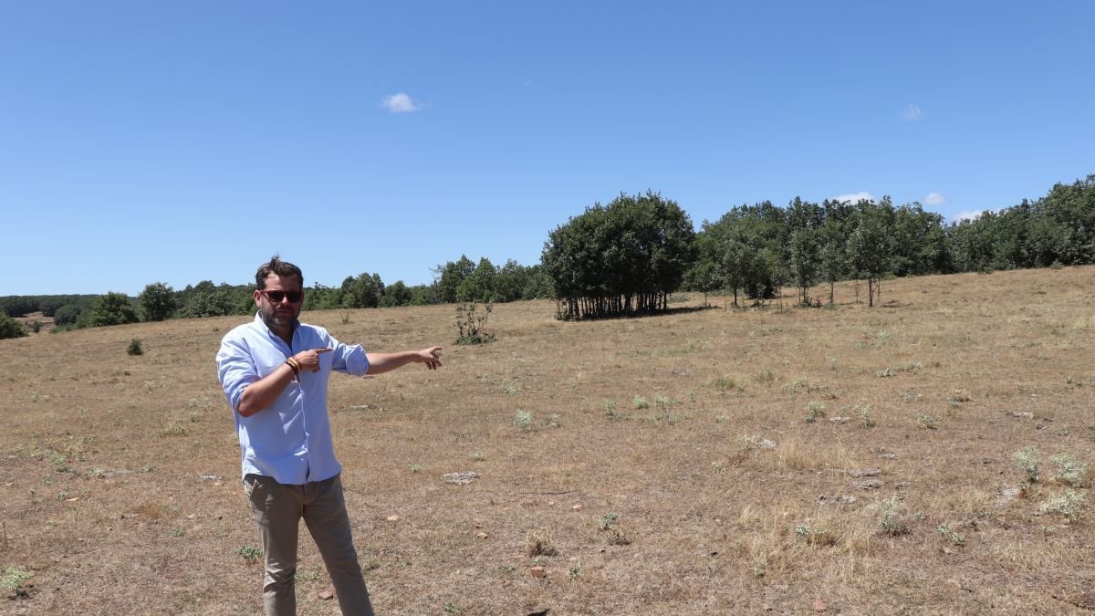 El Laberinto de Almanza tendrá una inversión de 194.900 euros
