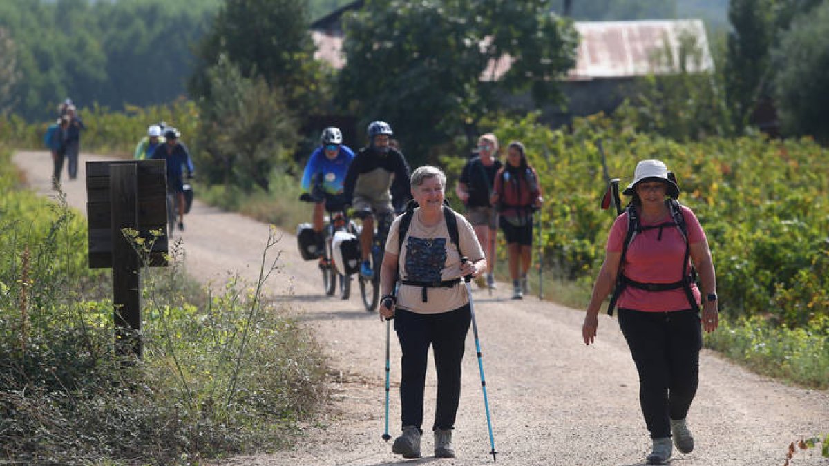 Peregrinos a su paso por la provincia de León