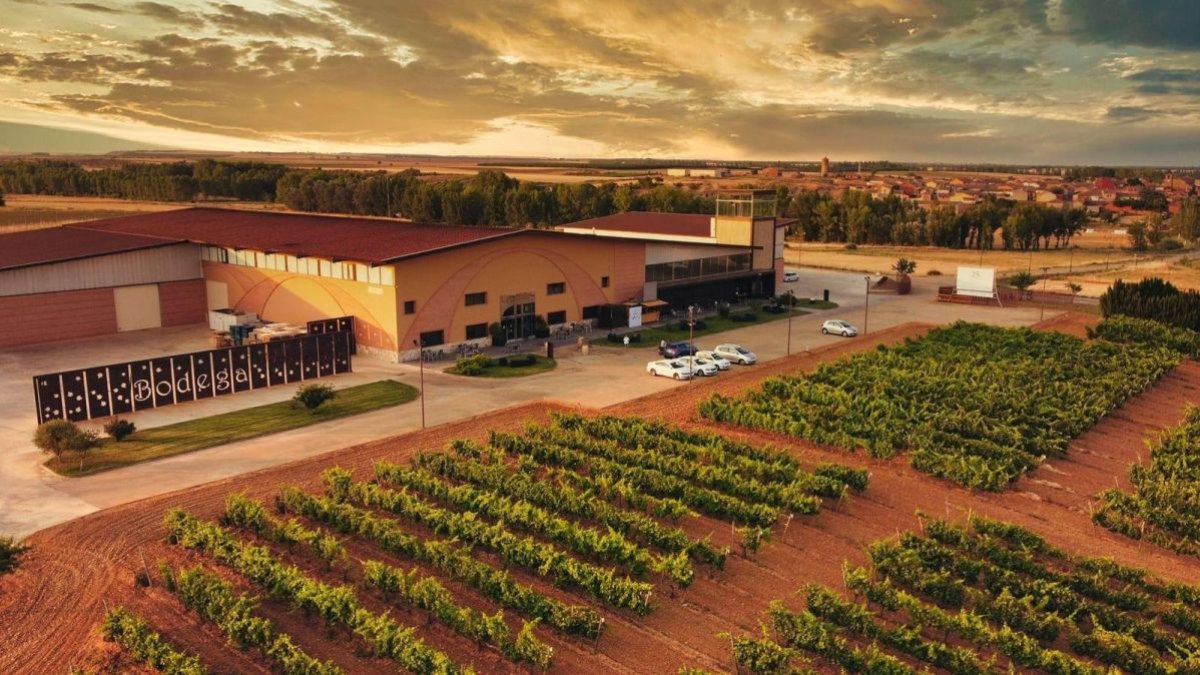 Bodegas Gordonzello: paraíso entre viñedos