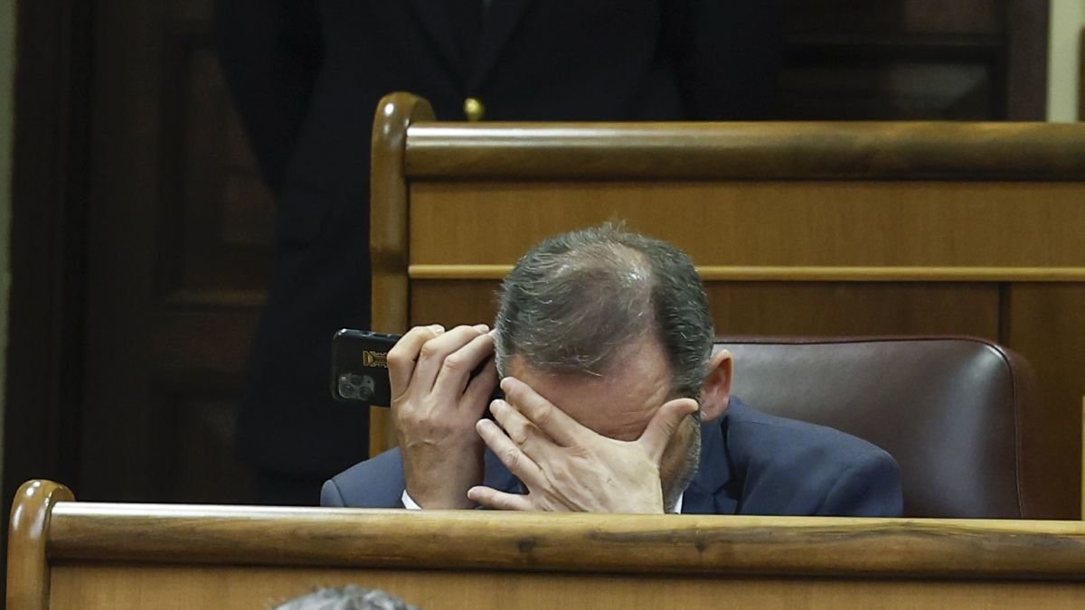El exministro José Luis Ábalos, en el Congreso.