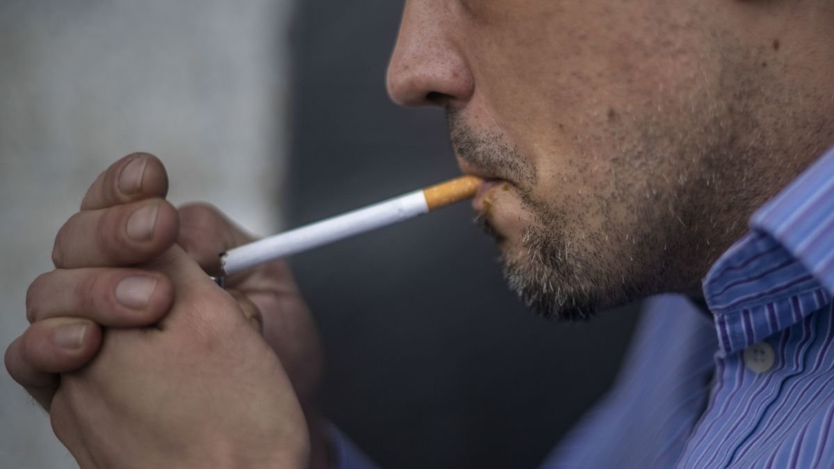 Las mascotas muestran niveles mayores de ansiedad en ambientes de humo.