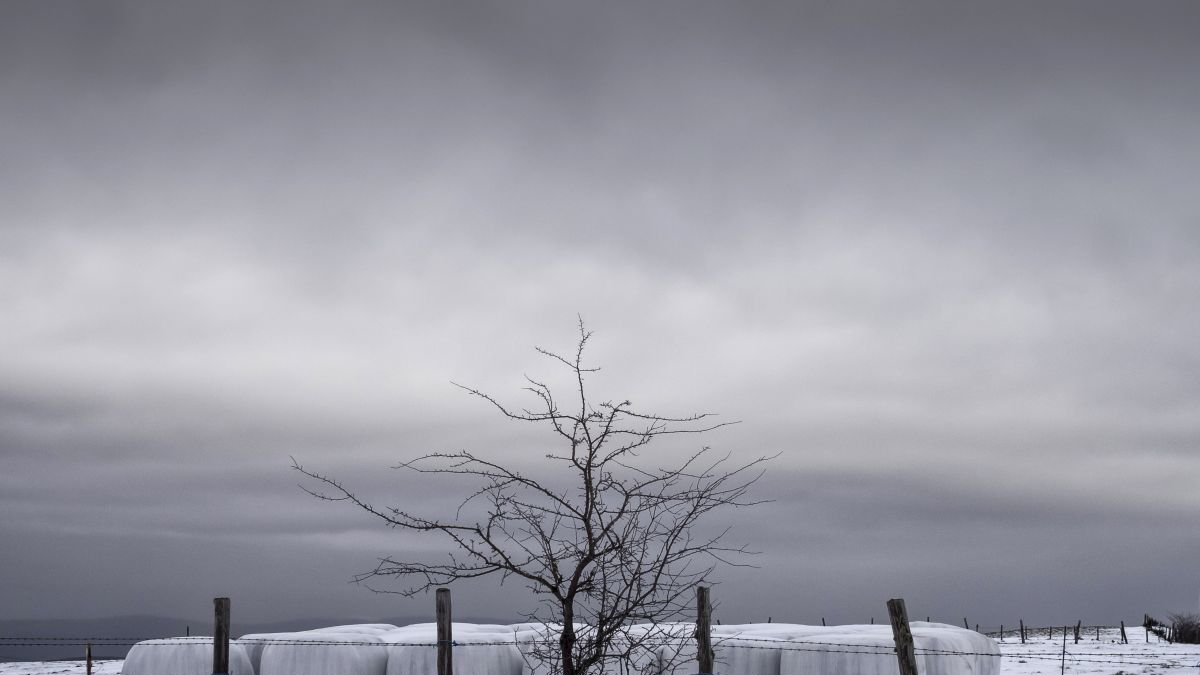 Imagen titulada ‘Encuentro en la sierra’, que forma parte de la exposición.