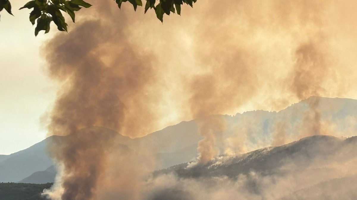 Incendio forestal de Cuevas del Valle (Ávila).