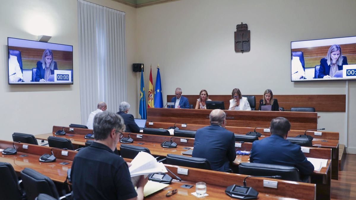 Reunión de la comisión parlamentaria de investigación.