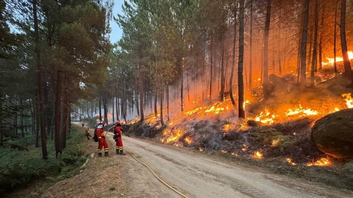 El papel de la UMe es clave tanto en la extinción del fuego como en la consolidación de los perímetros de los incendios.
