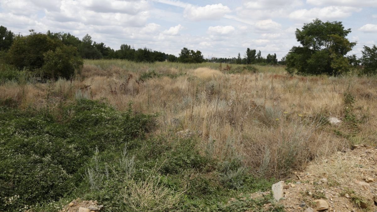 Los terrenos donde se instalarán las plantas y las canalizaciones de la red de calor.