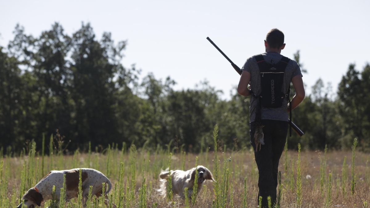 La media veda levantará el telón el 15 de agosto. Y con perspectivas en clave positiva.