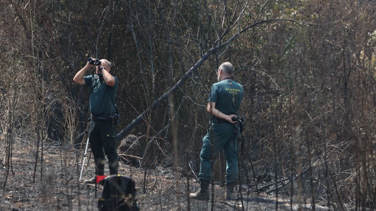 A las 13.55 horas del jueves 14, la Guardia Civil toma muestras en el alto de Borrenes