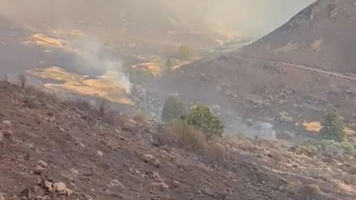 Gozdni požari v Španiji: Izboljšanje v nekaterih regijah, a še vedno aktivni.