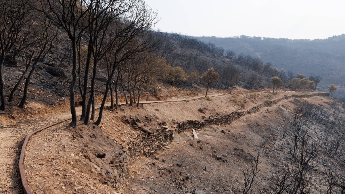 Imagen de uno de los canales calcinados de La Cabrera