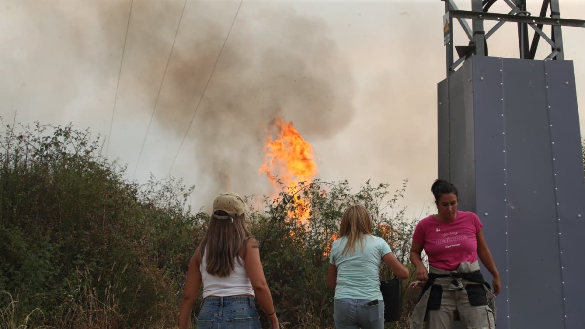 Vecinos apagando el fuego en la zona de Molinaseca esta tarde de domingo 24 de agosto. La pesadilla se reactiva.