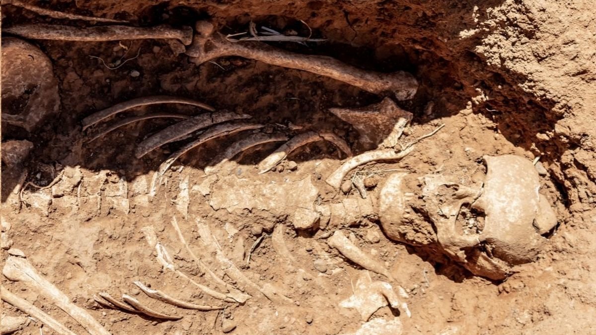 En las tumbas han aparecido restos de esqueletos humanos.