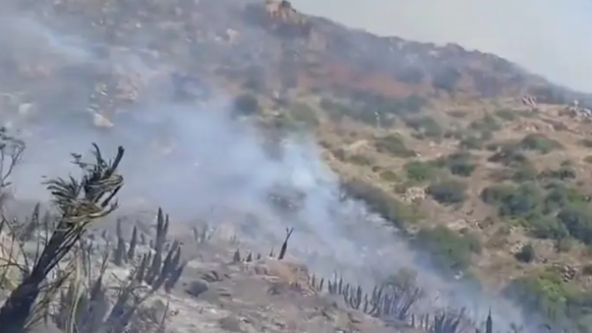 Incendio en Lubrín.