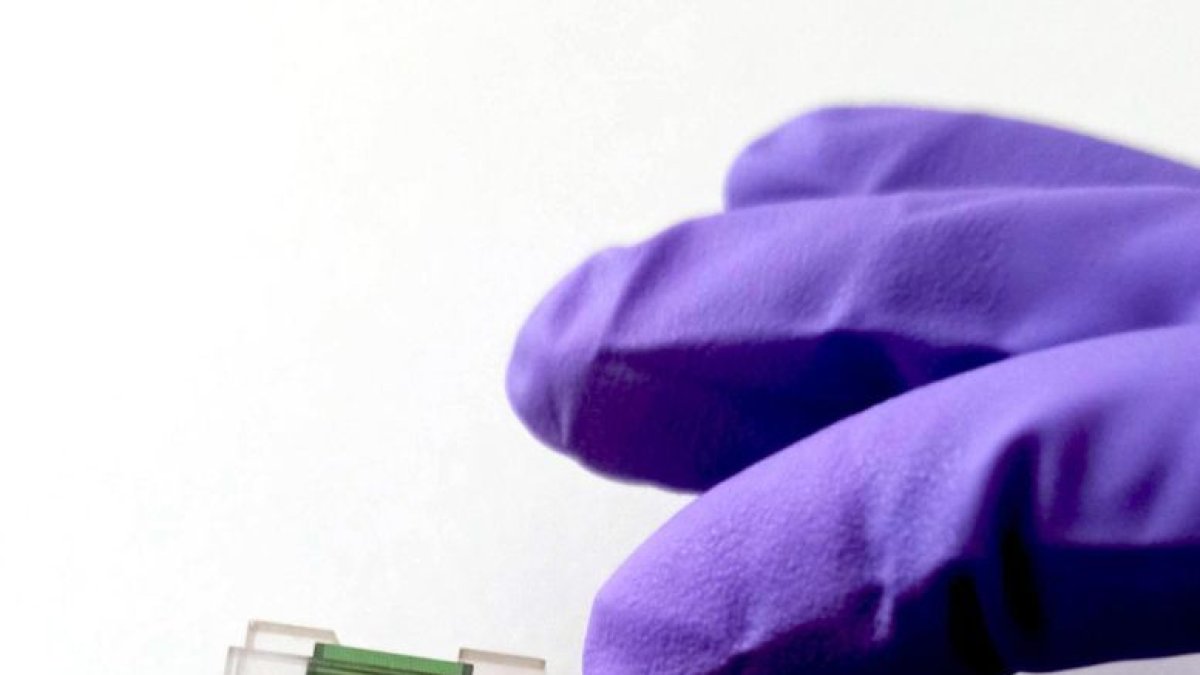 Uno de los minibiosensores encapsulado.