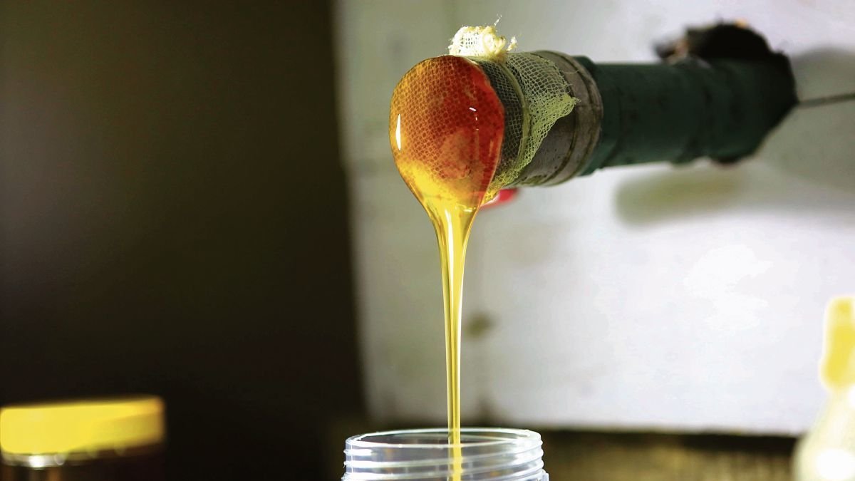 La transformación de la miel en polvo resuelve limitaciones logísticas y técnicas de la miel líquida. santiago carbone