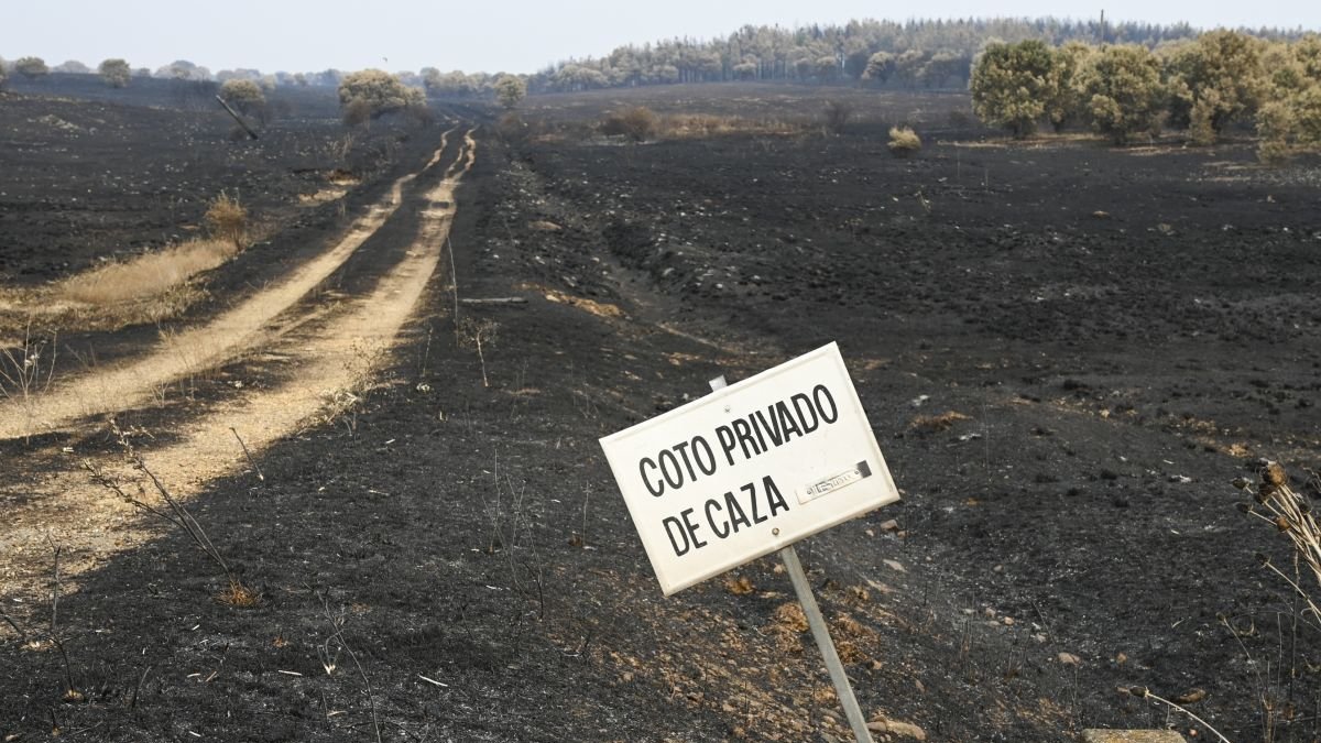 Una zona arrasada al suroeste de León.
