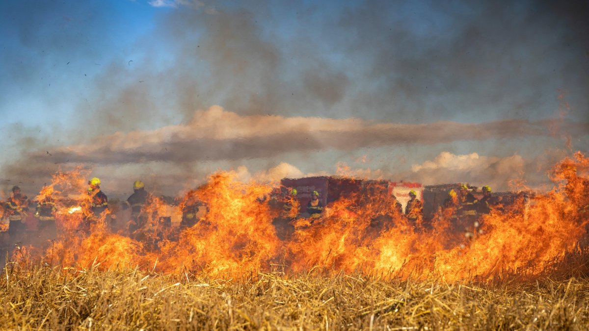 Los incendios de agosto han devastado el noroeste de España, especialmente en la provincia de León.