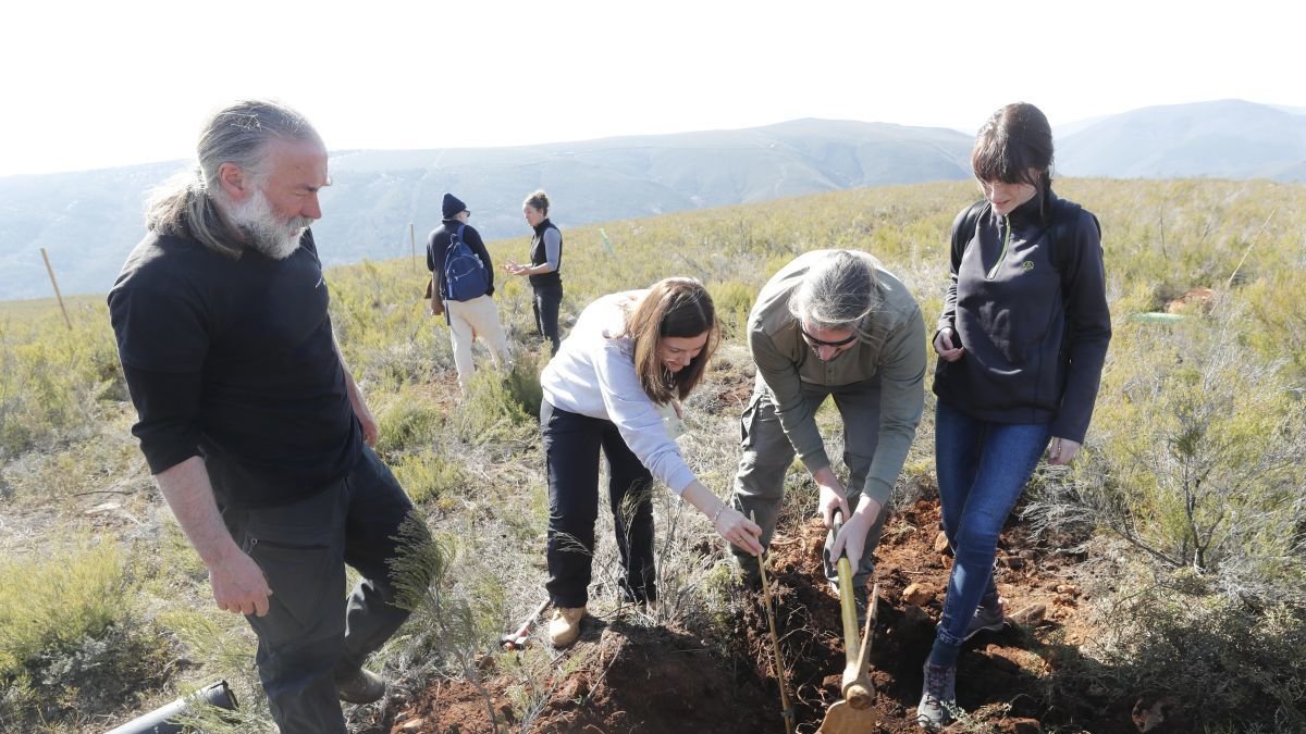 Entre los diferentes talleres del Selfest habrá plantación de árboles.