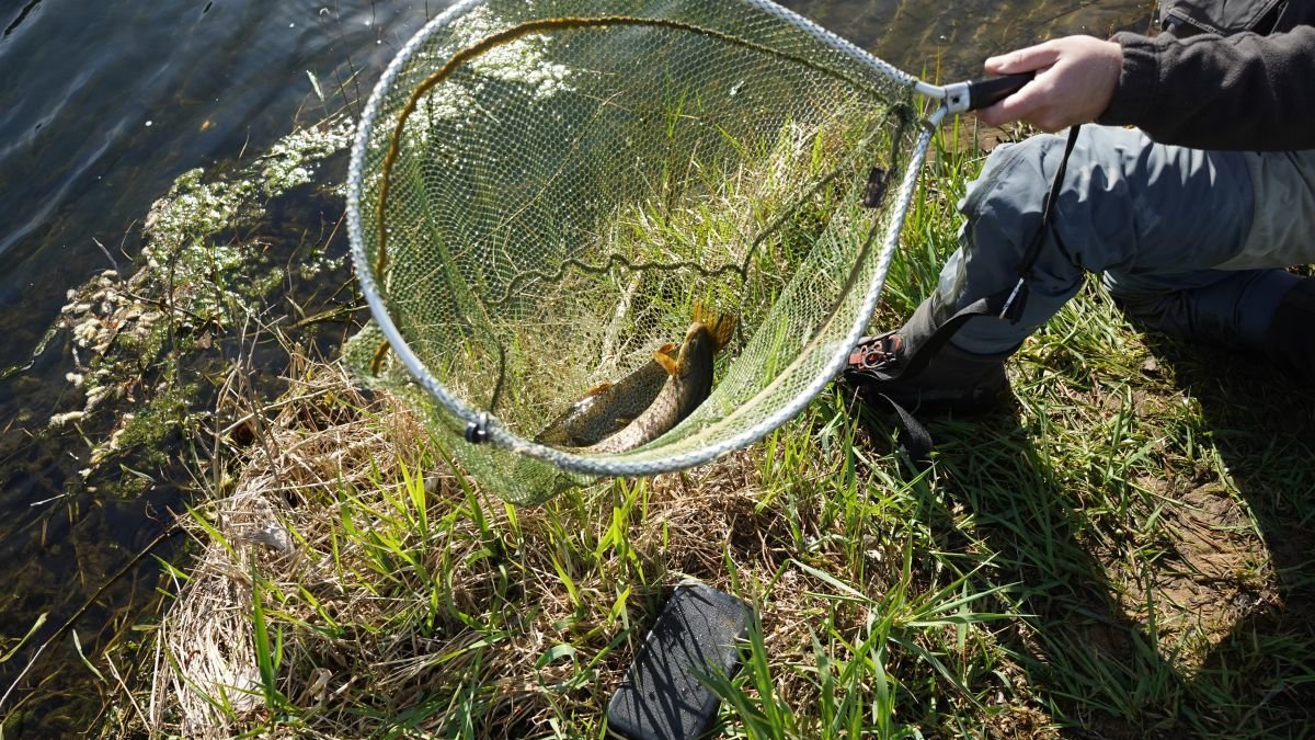 La temporada de pesca tiene aún un mes por delante.