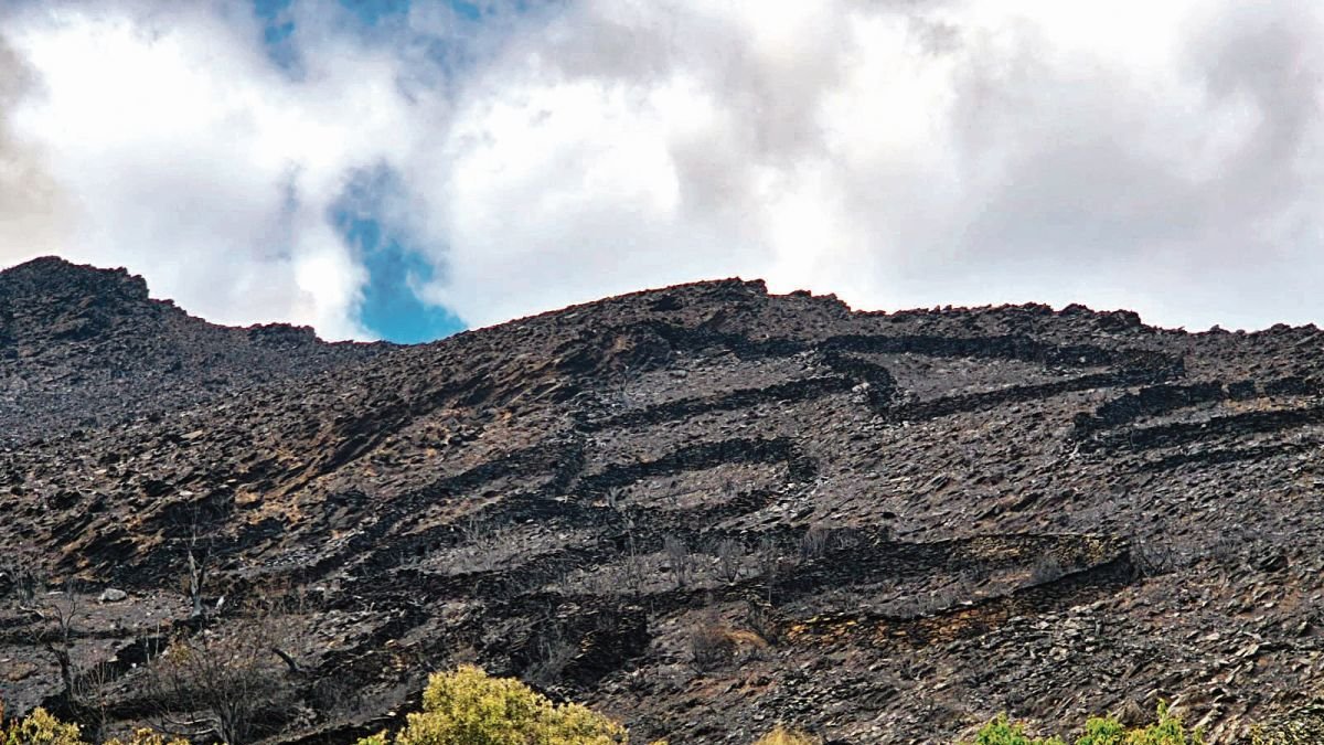 Los cortines que los vecinos de Arnado usaron para sus colmenares durante siglos, calcinados por el incendio de Gestoso.