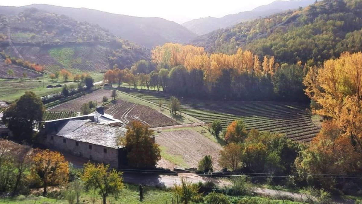 Vista general de la Granja de Santullano, antigio monasterio del XII.
