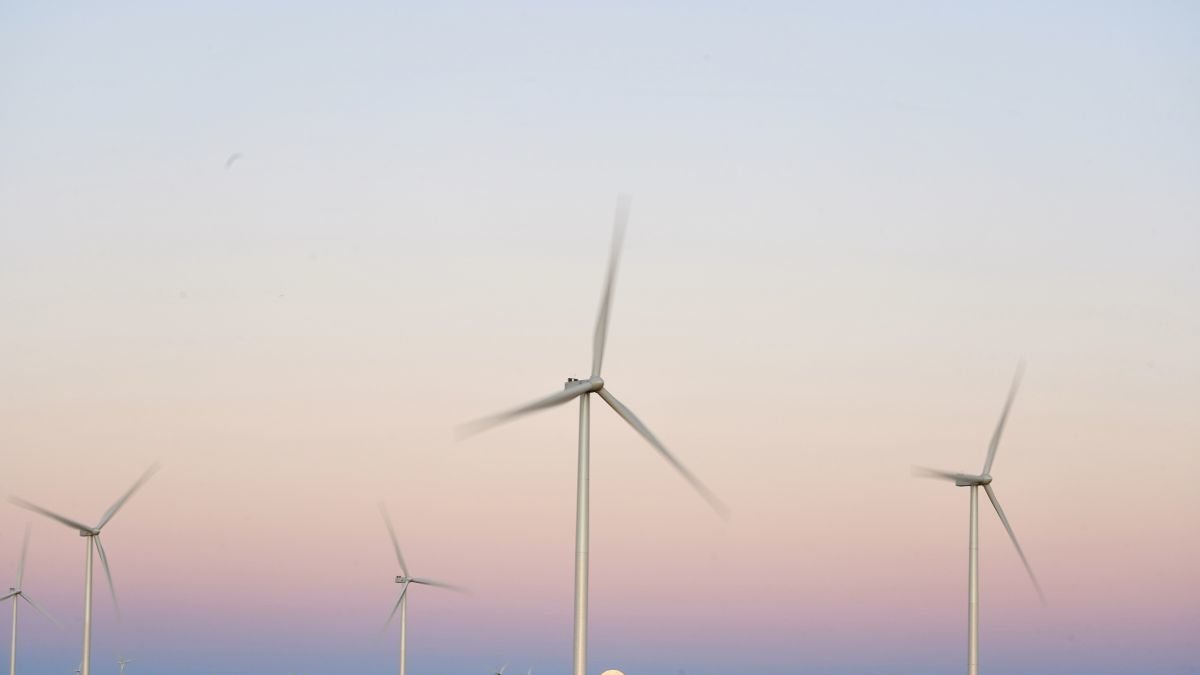 Un parque eólico en la comunidad autónoma.