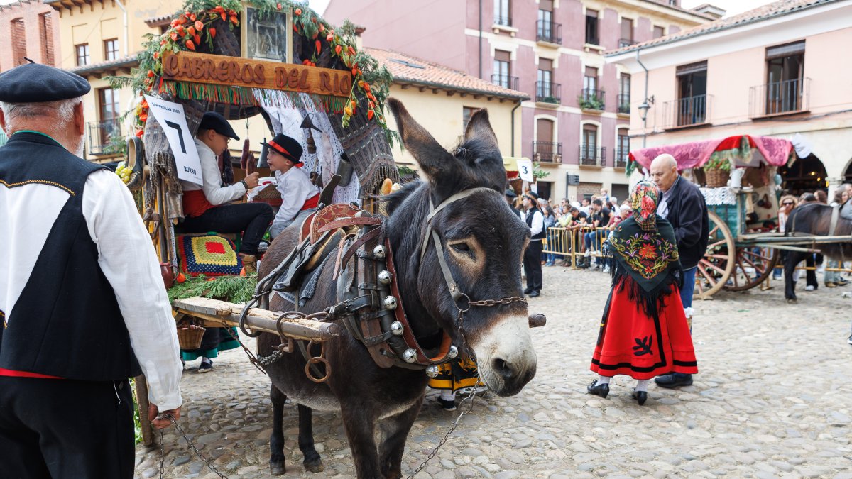 Concurso y desfile de carros engalanados por San Froilán.