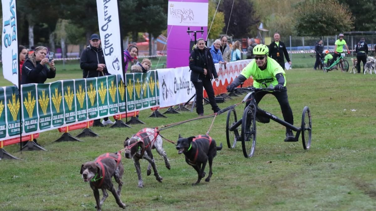 Una práctica de mushing durante una carrera.