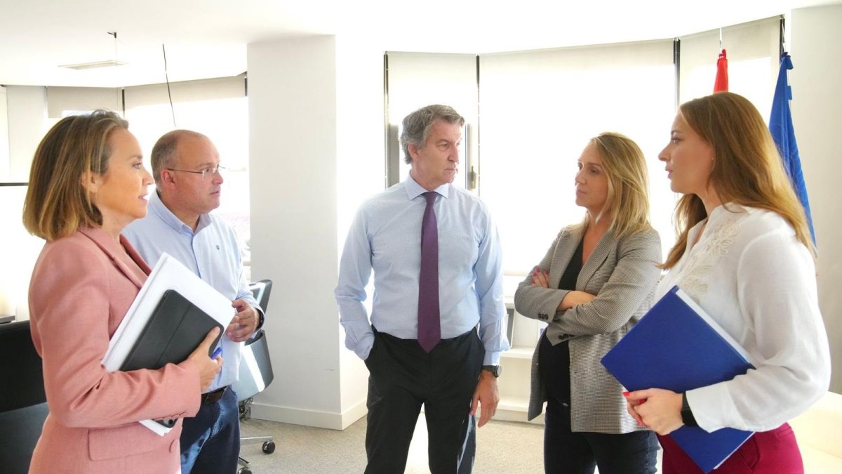 El líder del PP, Alberto Núñez Feijóo, preside la reunión del comité de dirección del PP.