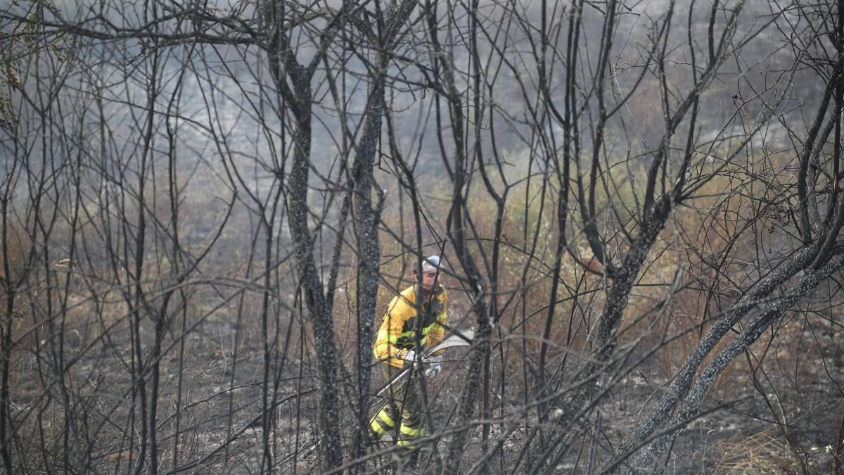 Uno de los incendios de este verano.