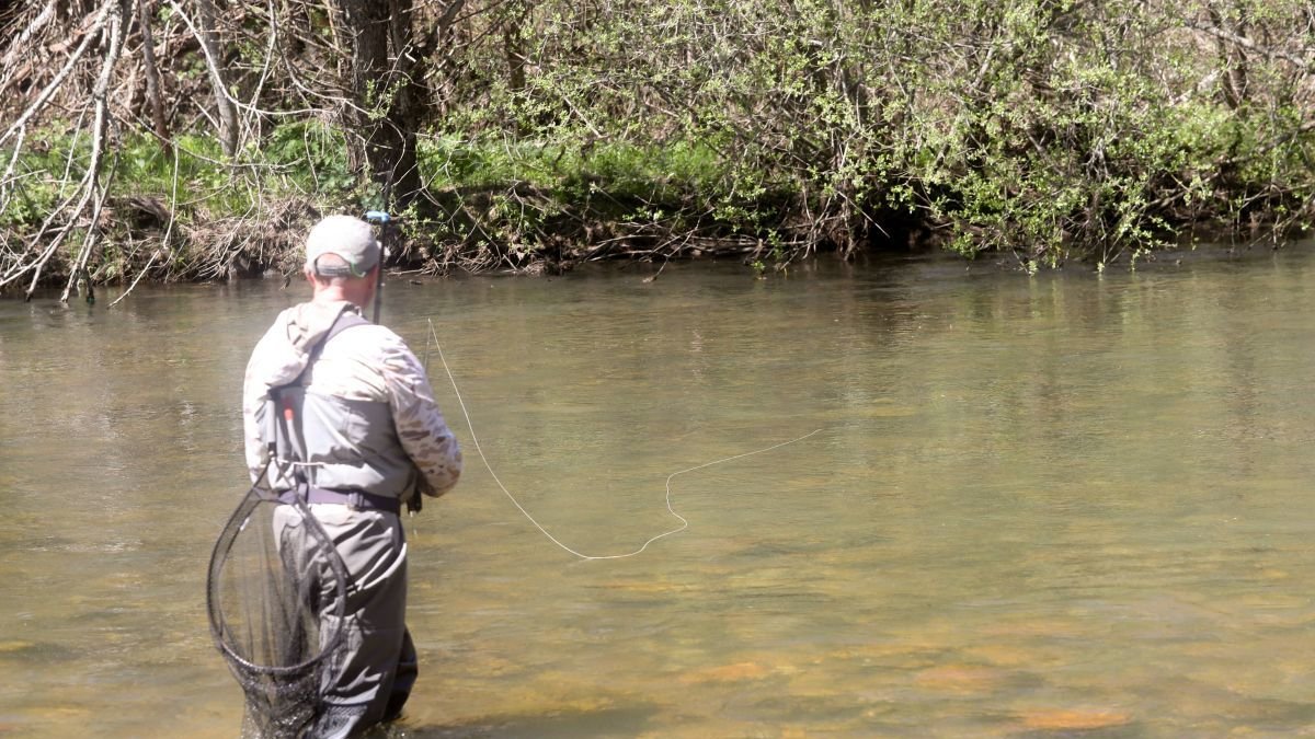 La provincia de León cuenta con más de 3.000 kilómetros de masas de agua trucheras.
