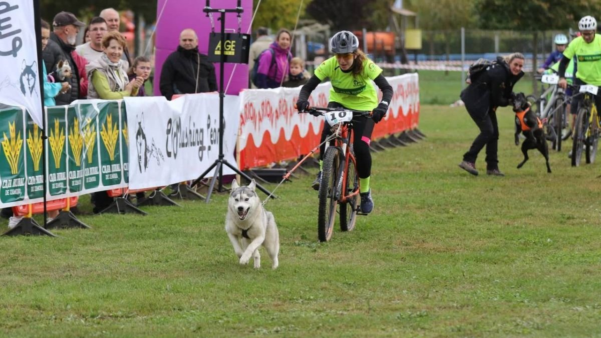 La primera edición del Coyanza Mushing se celebró el año pasado con una gran acogida.