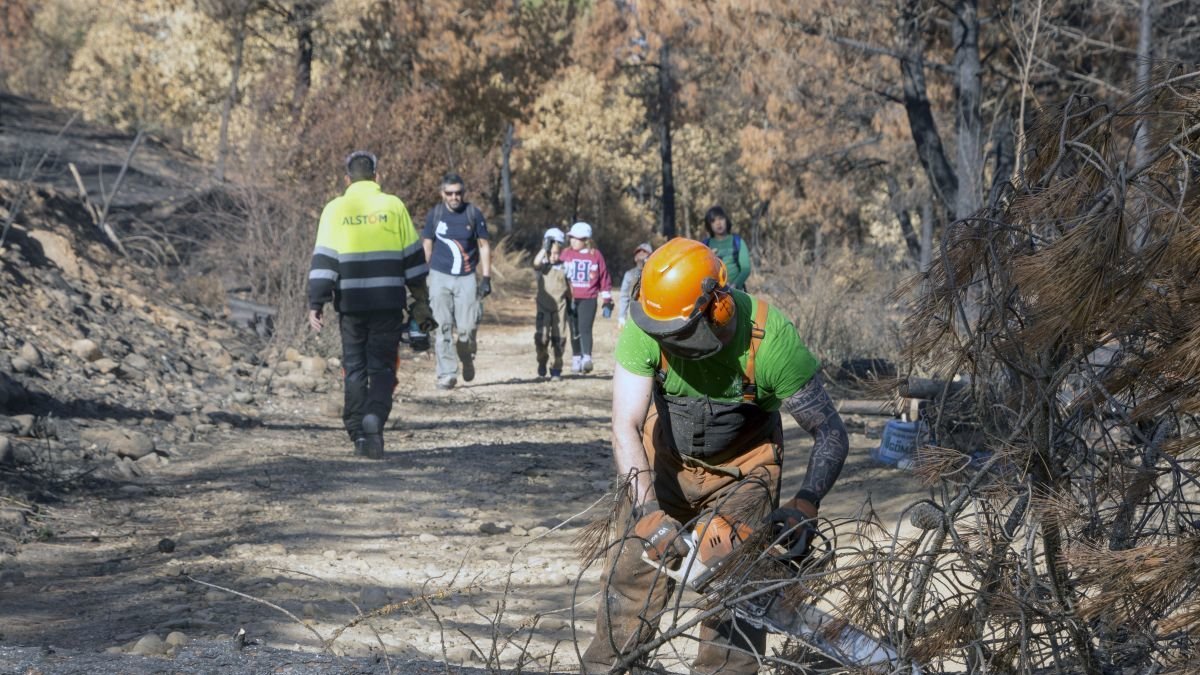 Algunas de las personas voluntarias en la facendera celebrada el pasado sábado.