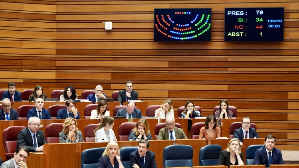 PP y Vox se oponen a "blindar" el aborto en la Constitución que pedía ...